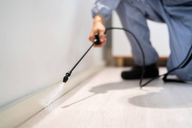 Licensed Fumigation Services service in East Sonora, CA - Nex Pest Control