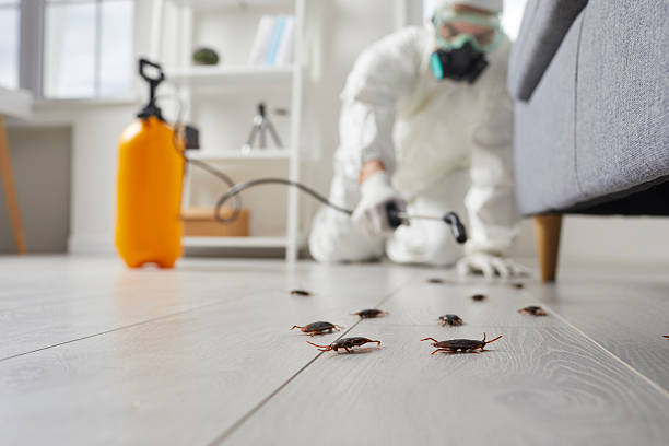 Trusted Fumigation Services service in East Sonora, CA - Nex Pest Control