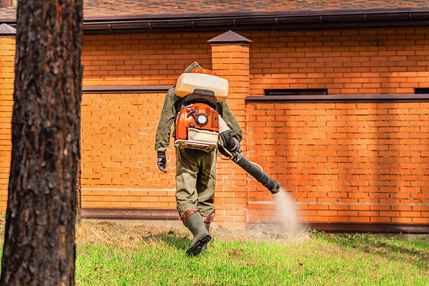 Trusted Mosquito Control service in East Sonora, CA - Nex Pest Control